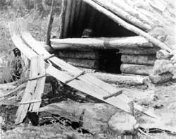 Forum photograph