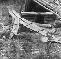 Forum photograph